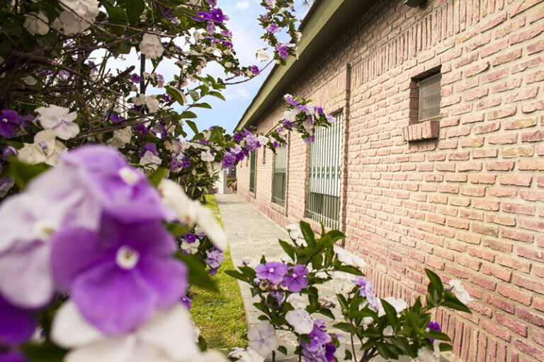 residencia-alameda (4)-